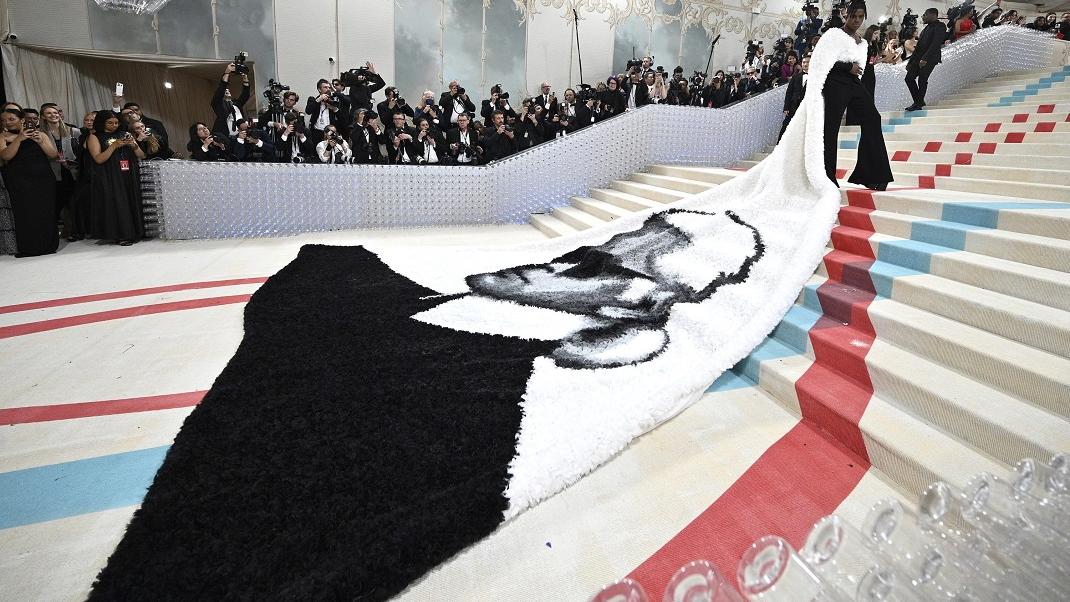 Έφαγαν Τη… Σκόνη Της Οι Celebrities! Κατσαρίδα Κέρδισε Τις «Εντυπώσεις ...